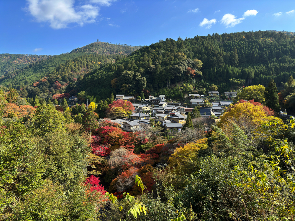 京都・三尾巡り（高雄・槙尾・栂尾）