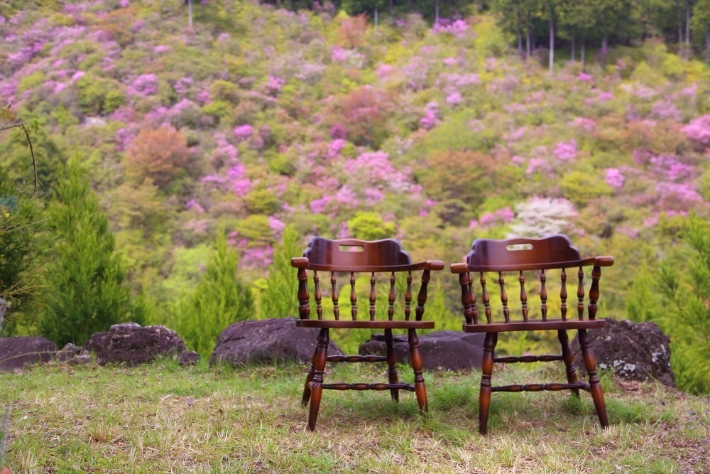 京都・高雄の風景