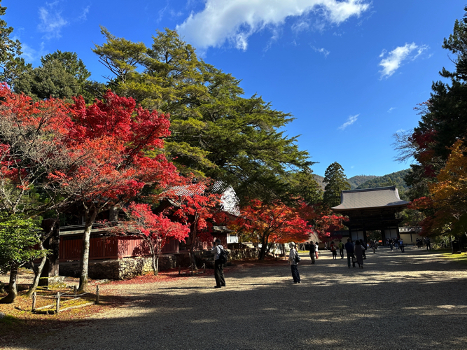 高雄・神護寺