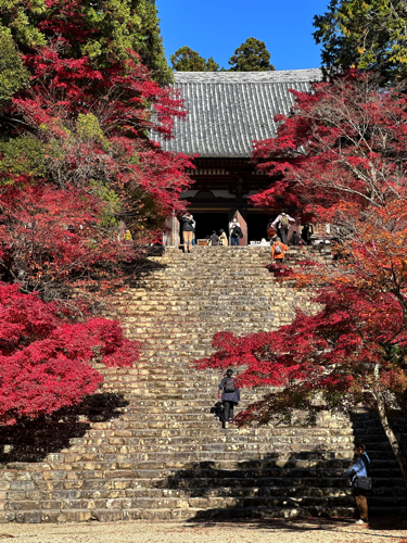 高雄・神護寺の金堂と紅葉