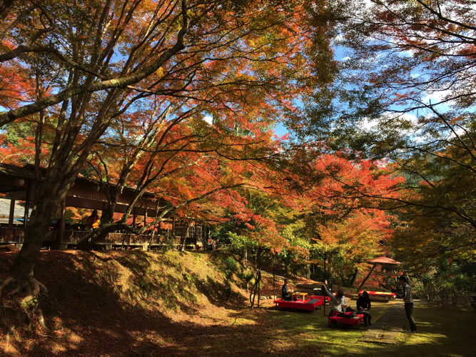 高雄・神護寺へ向う石段途中の茶屋